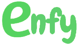 Logo enfy